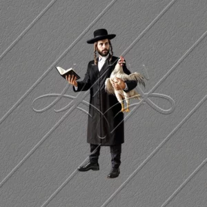 תמונת מוצר