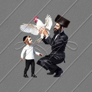 תמונת מוצר
