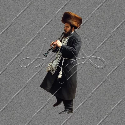 תמונת מוצר