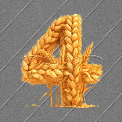 תמונת מוצר