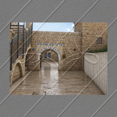 תמונת מוצר