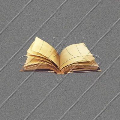 תמונת מוצר