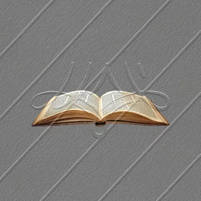 תמונת מוצר